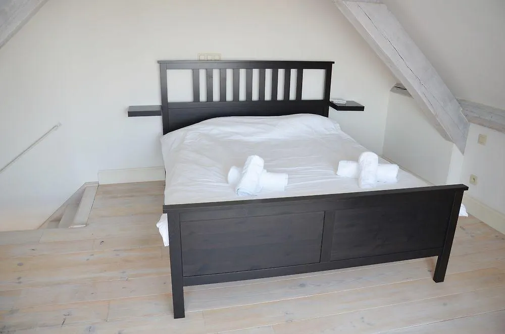Traditional Modern Apartment City Centre Antverpy Belgie