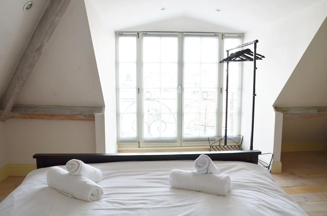 Traditional Modern Apartment City Centre Antverpy Belgie