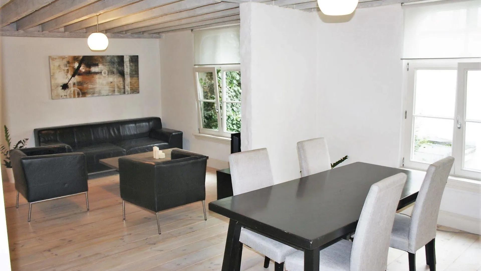 Traditional Modern Apartment City Centre Antverpy